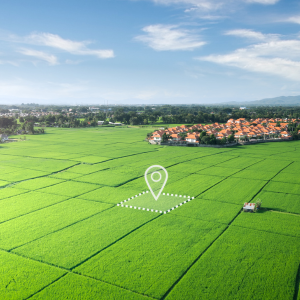Top Strategies to Successfully Market Your Land for Sale United States
