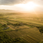 Do Land Sellers Need Title Insurance in Real Estate Deals In 