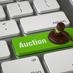 How can I sell land at auction Georgia