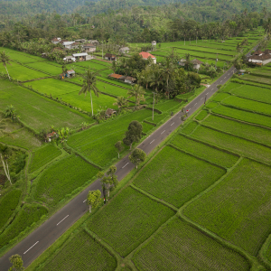 Can You Complete a Land Sale Without a Title Company In 