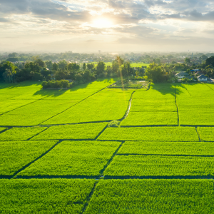 Can You Sell Land Without Going Through a Title Company In 