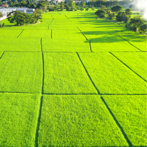 Can You Sell Some of Your Land to a Developer In 