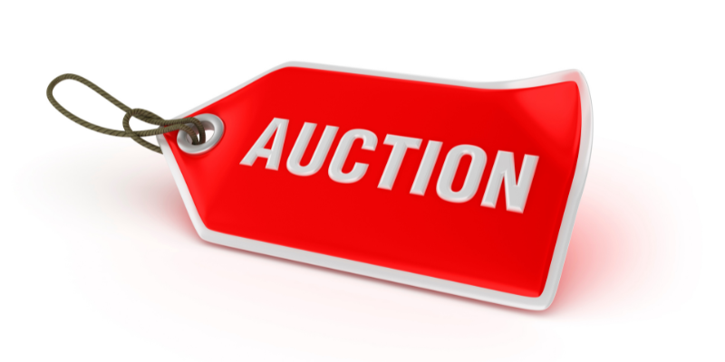Auction process for selling land Georgia