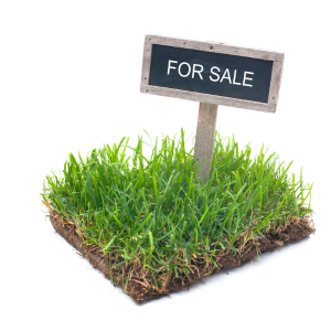 How long is the process to sell land Georgia