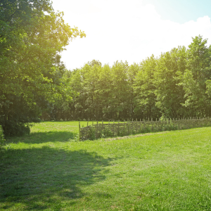 Steps to Sell Land That Has Mineral Rights in Virginia