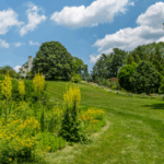 Best Season to sell land Alabama