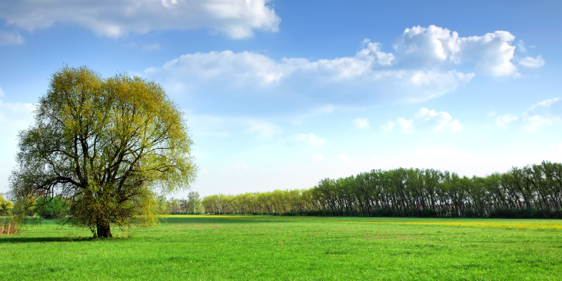 How to Sell Land With No Legal Access in Louisiana