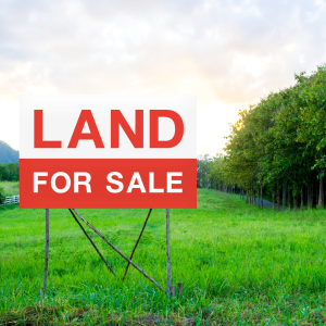 Selling Remote Land With No Access in Louisiana
