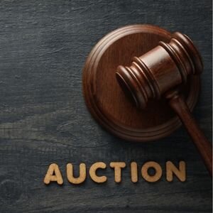 Land Sales Through Auction in Alabama