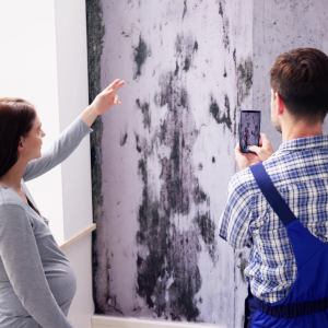 Sell My House With Mold in California