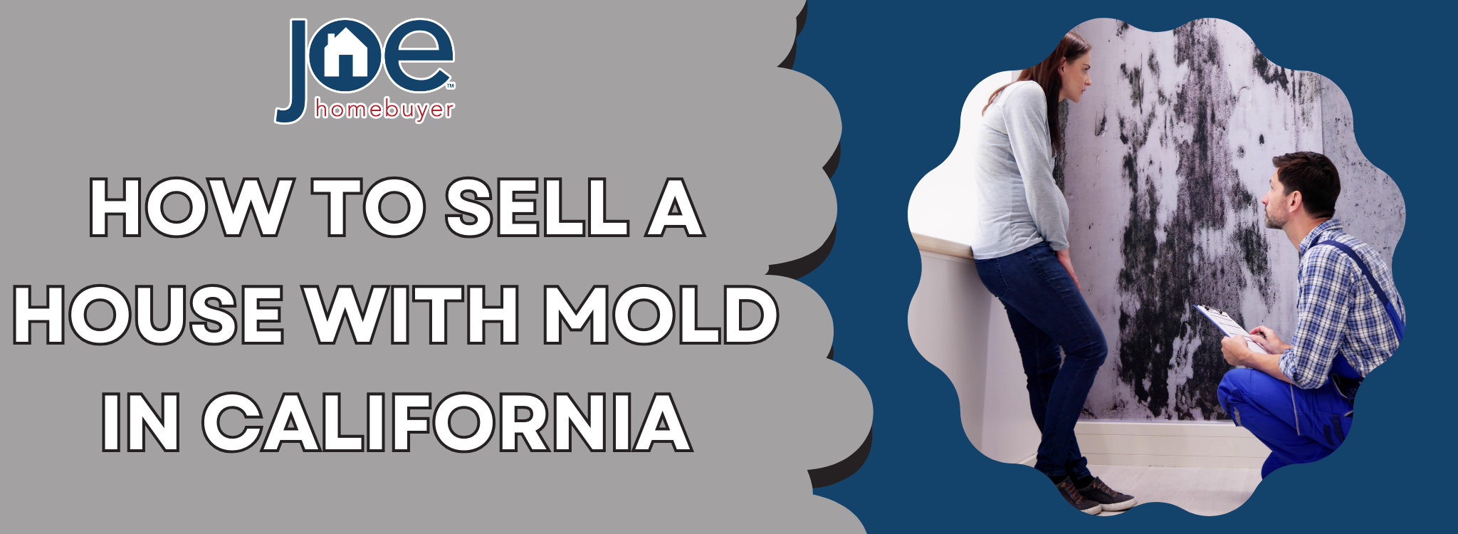 Sell a House Fast With Mold in California