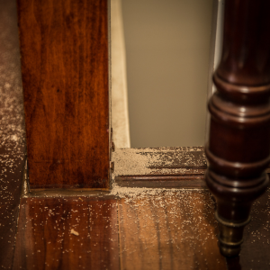 Selling your home with termite problems in Riverside, CA