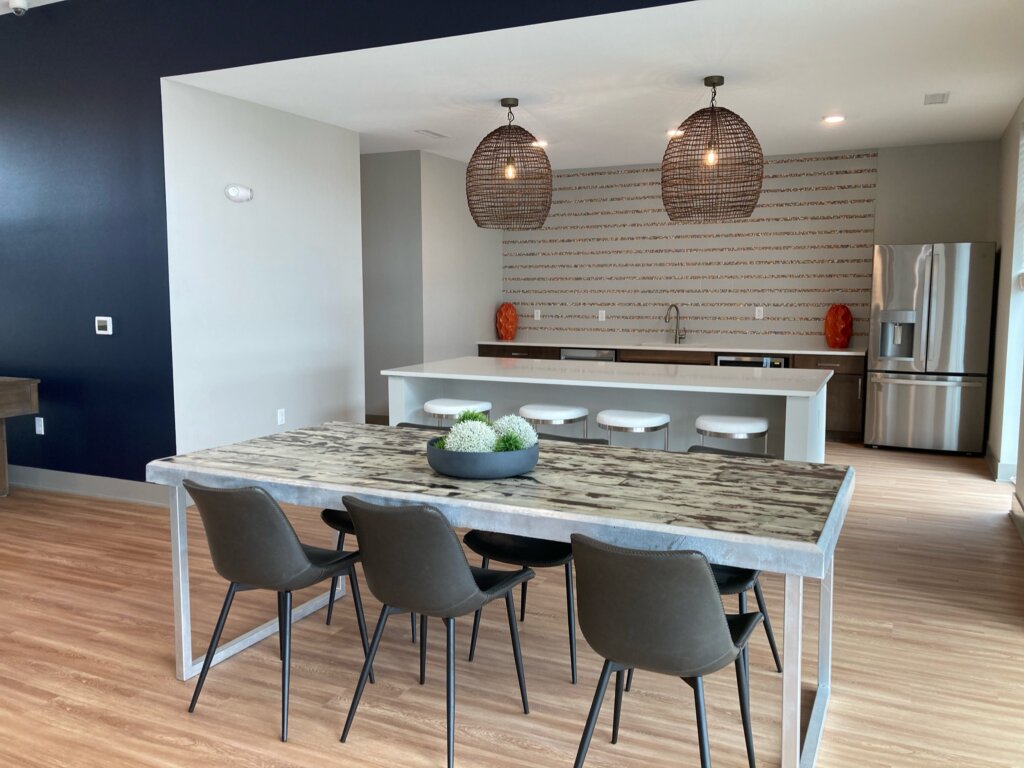 Houston Apartment Interior Designer