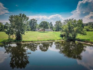 View from pond in Holland, Indiana home for sale.