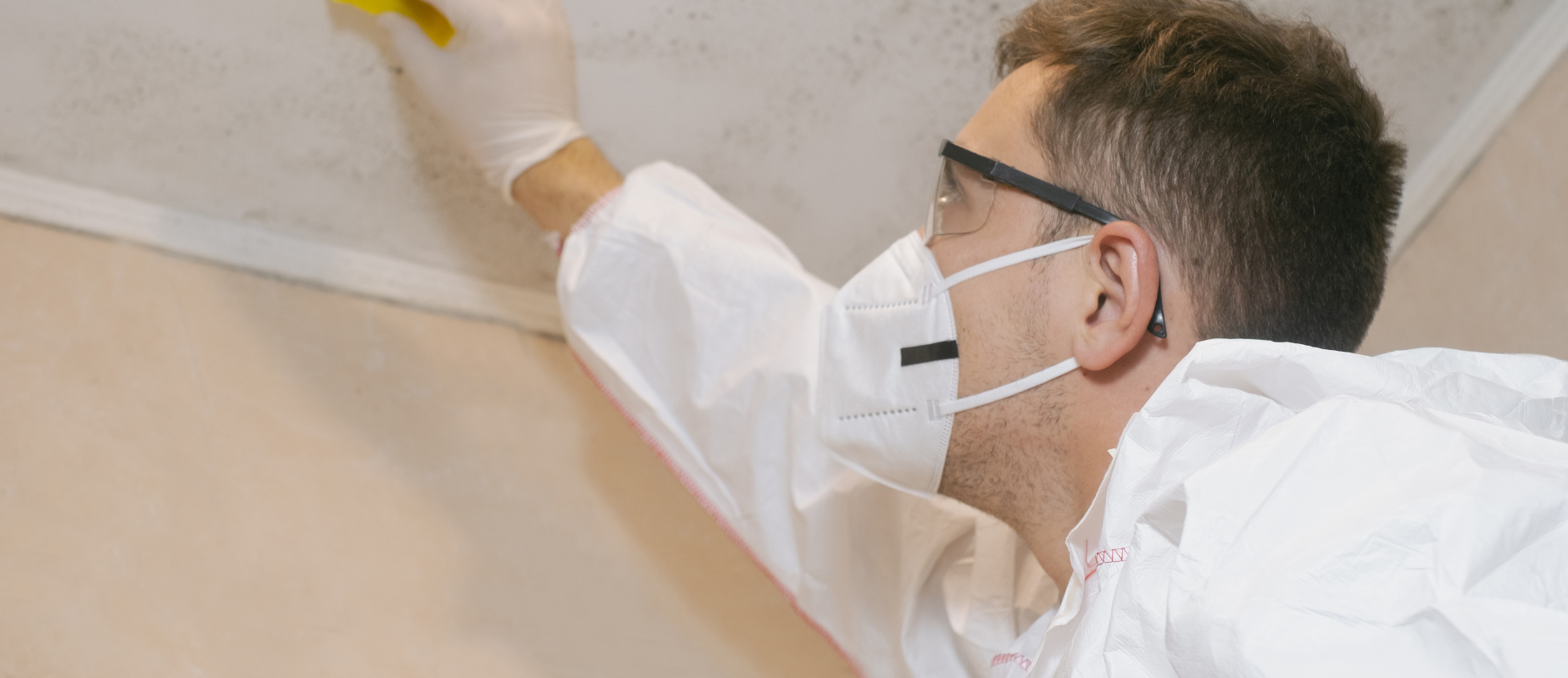 Sell Your House With Mold in Arizona
