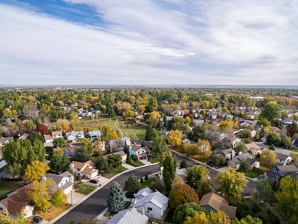 Aerial view of a suburban neighborhood with tree-lined streets and houses on a clear day.