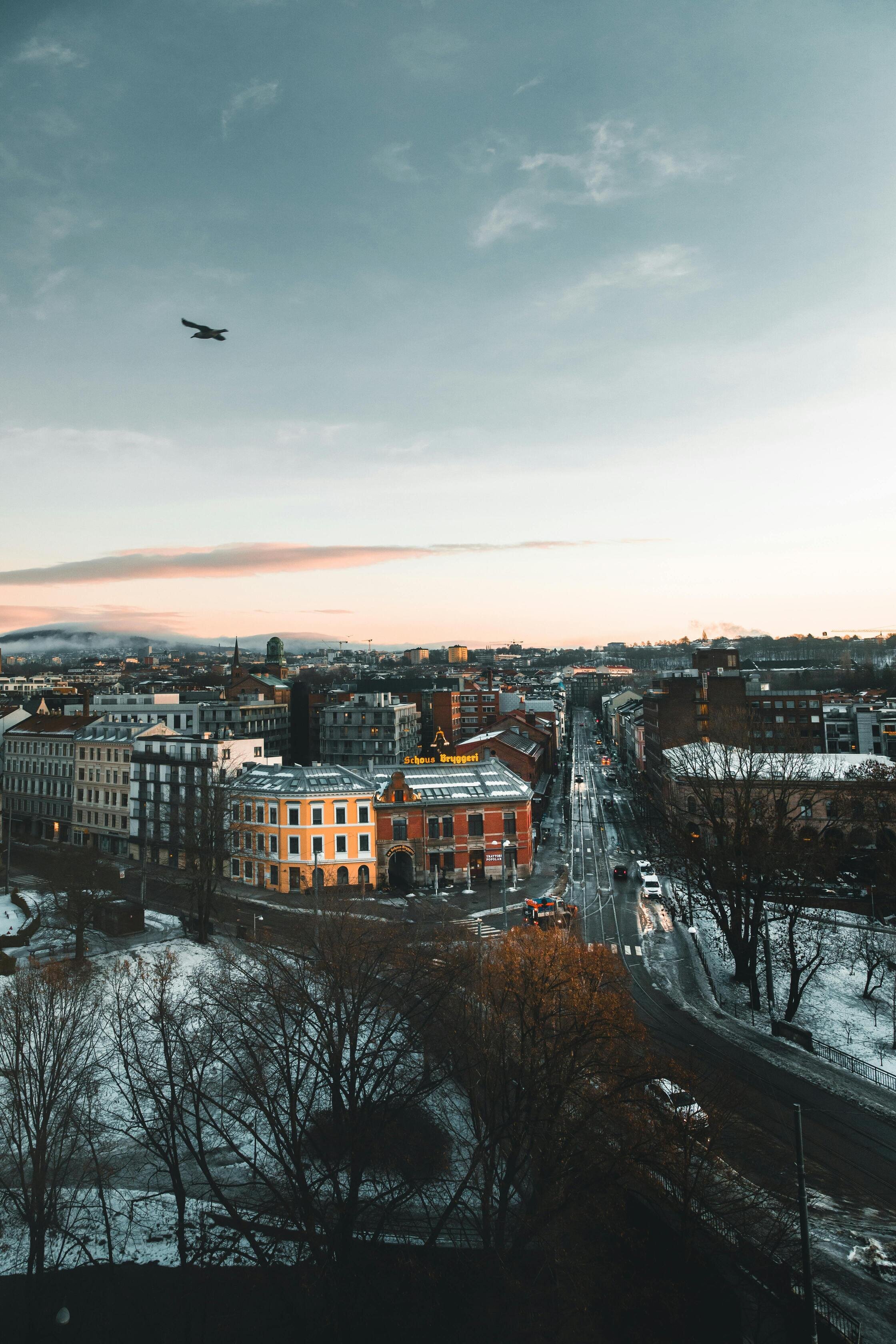 A cityscape at dusk with snow-covered streets, historic buildings, bare trees, and a bird flying against a pastel sky.