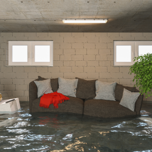 Can You Sell a House with Water Damage Illinois