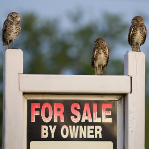 Paperwork for Selling Your Property Without a Realtor In Illinois