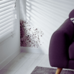 Selling A Mold-affected House the Chicagloand area