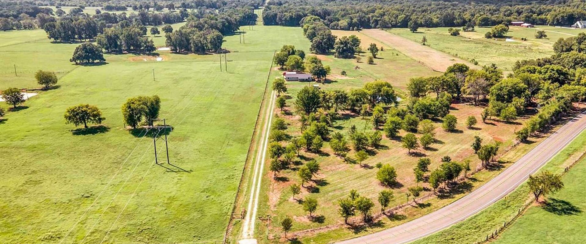 photo of East Texas Land For Sale