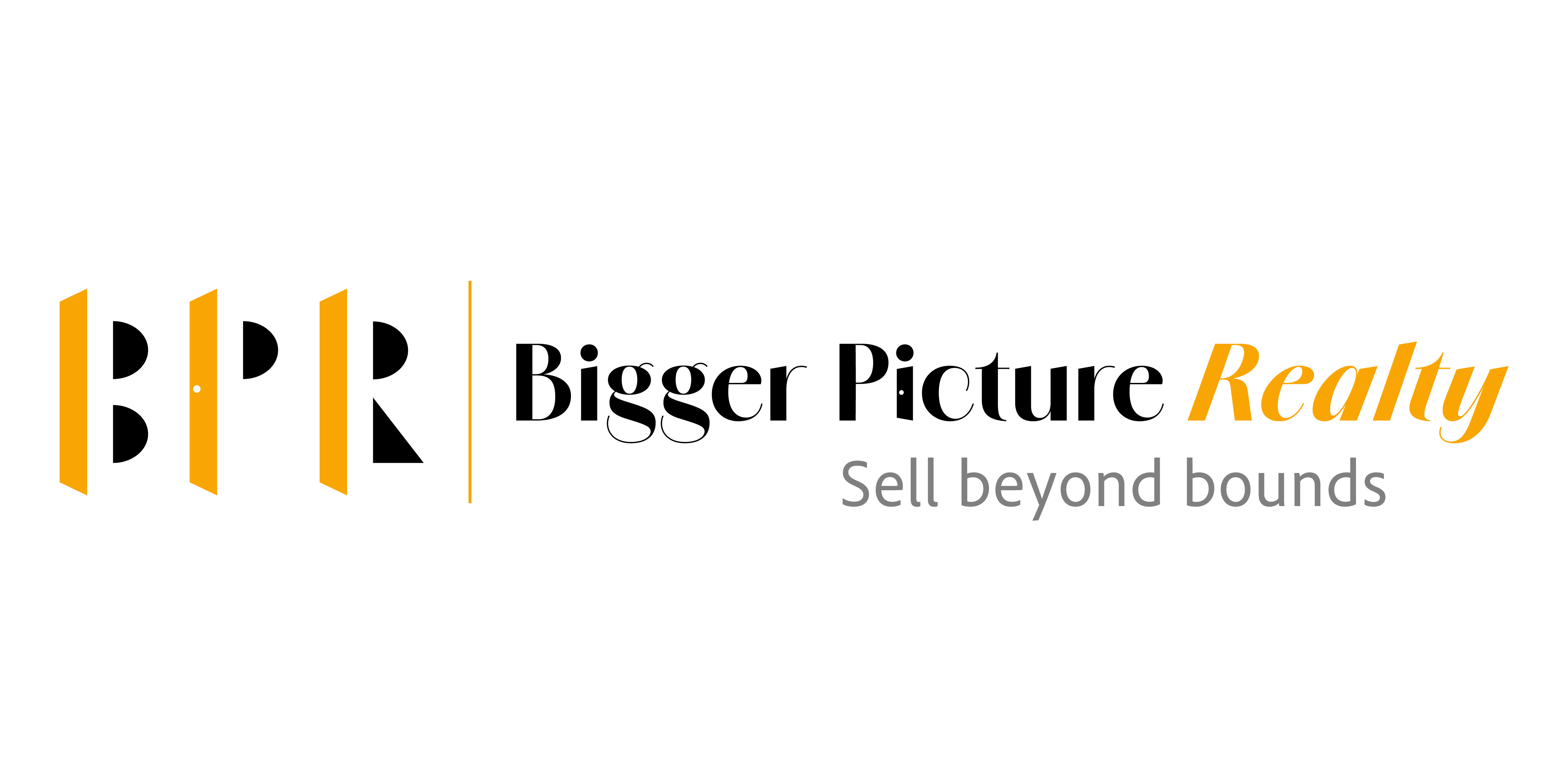 Bigger Picture Realty  logo