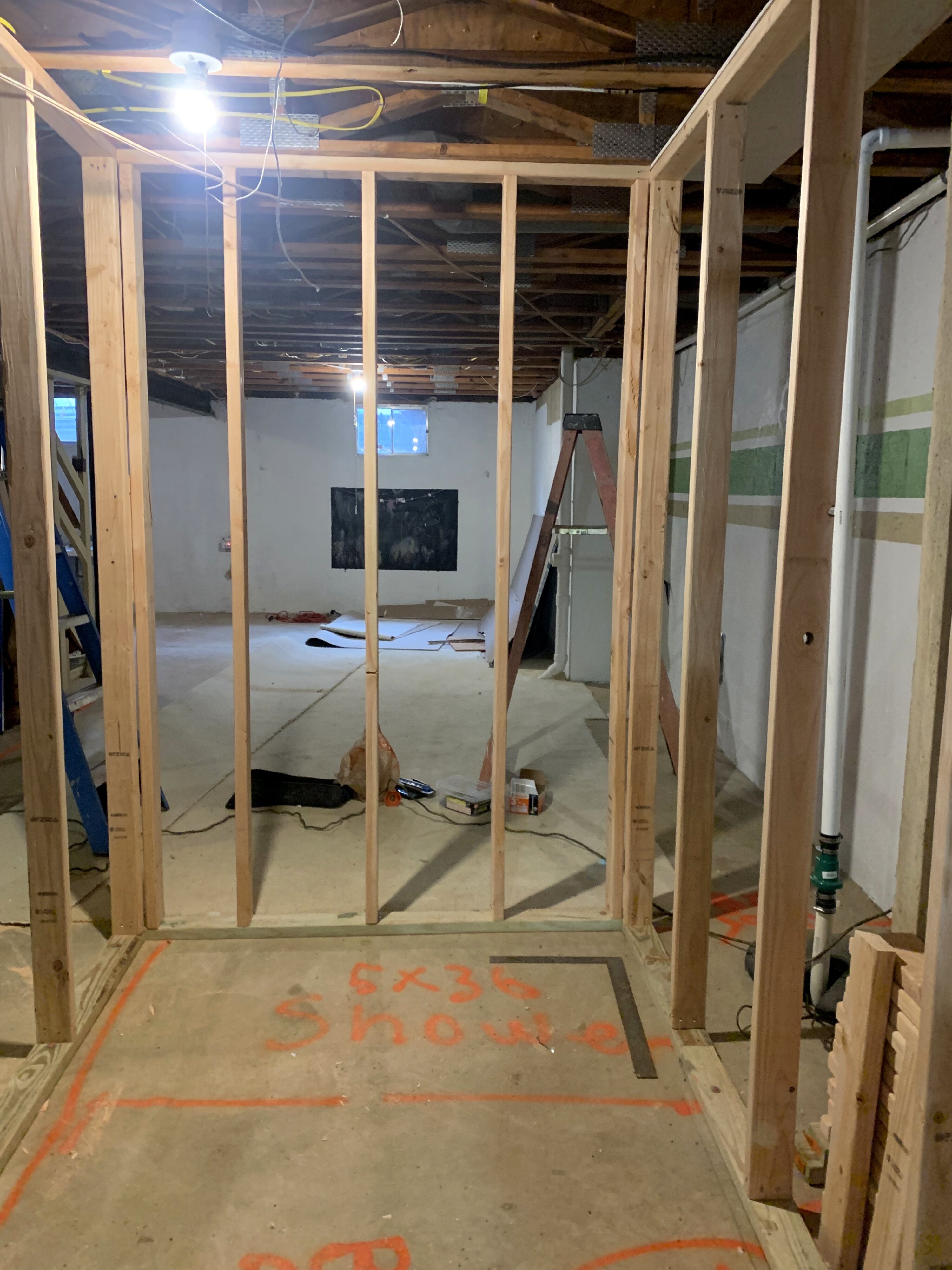 Bear Oak Ct basement before