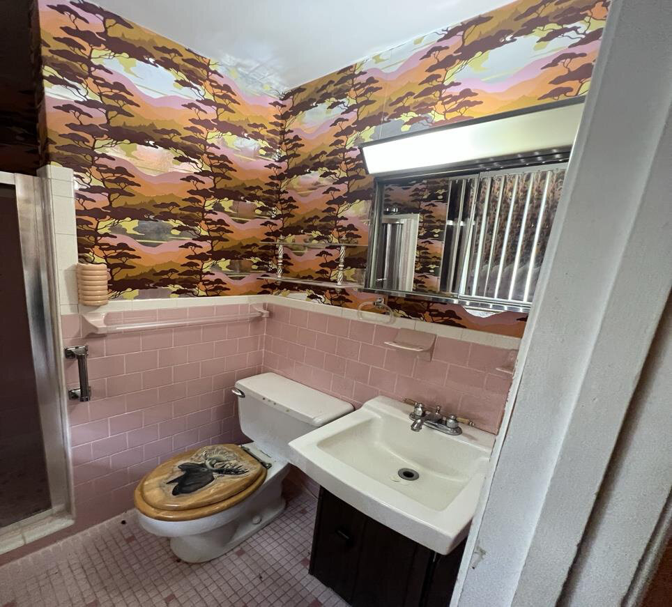 Before renovation – Kitchen in Alexandria, VA - Maxine Court