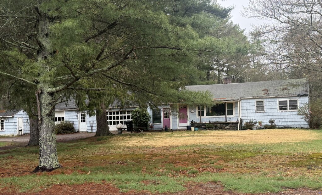 Older light blue ranch house with overgrown yard in Halifax MA – we buy houses as is Halifax MA
