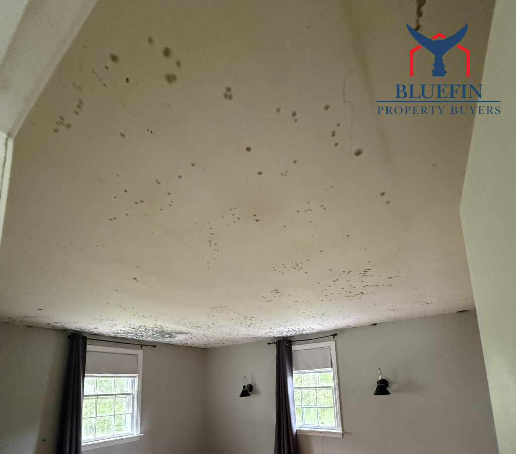 Mold spreading across a bedroom ceiling in a Massachusetts house from water damage above