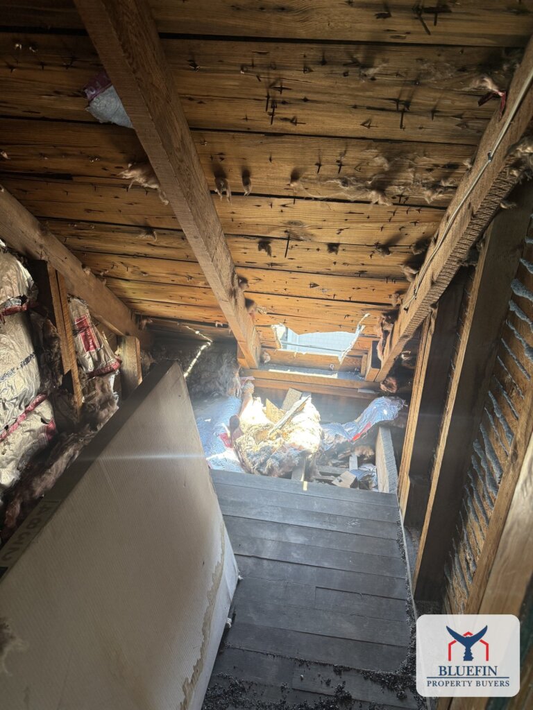 Attic framing and insulation exposed where firefighters opened the ceiling in a Massachusetts house fire
