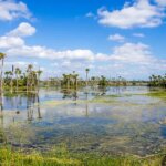 vacant land florida