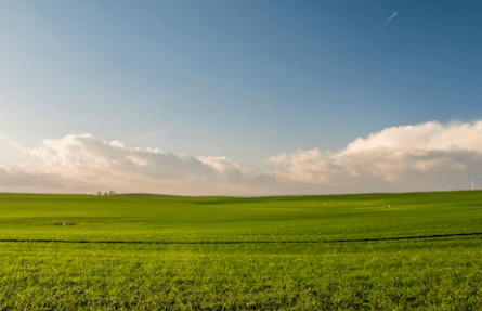 exploring unimproved land in florida
