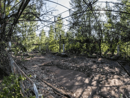 find abandoned land for sale in florida