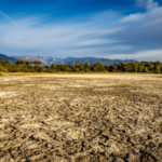 unimproved land in florida