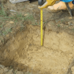 what is a percolation test in florida