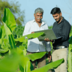 buy an old farm or start a new one