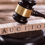 buying land at auction