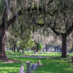 how cemeteries make money