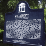 Sell My Land Micanopy Florida