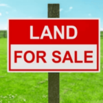 find abandoned land for sale Archer Florida