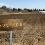 how land auction work in Gainesville