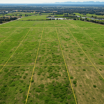 How long it takes to subdivide land in Greensboro Florida