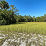 undeveloped land Labelle Florida