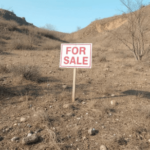 find abandoned land for sale Lady Lake Florida