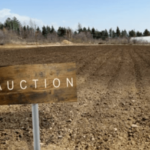 how land auctions work Ocklawaha Florida