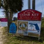 what is undeveloped land in Cedar Key Florida