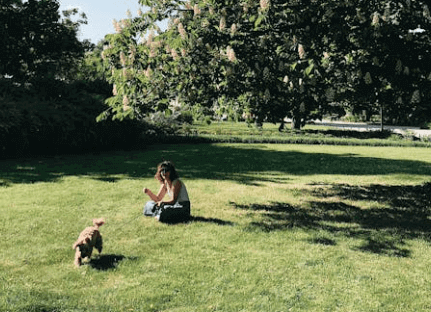 buying land for public or private parks
