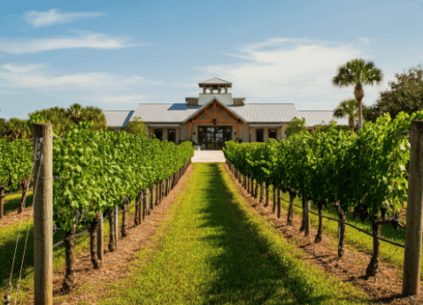 buying land for vineyards or wineries in florida