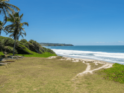 buying land in different type of terrain
